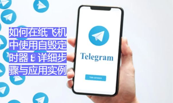 如何在纸飞机中使用自毁计时器：详细流程与实例解析