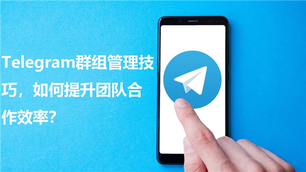 Telegeram群组管理技巧，如何提高团队协作效率?