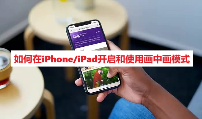 如何在iPhone/iPad开启和使用画中画模式